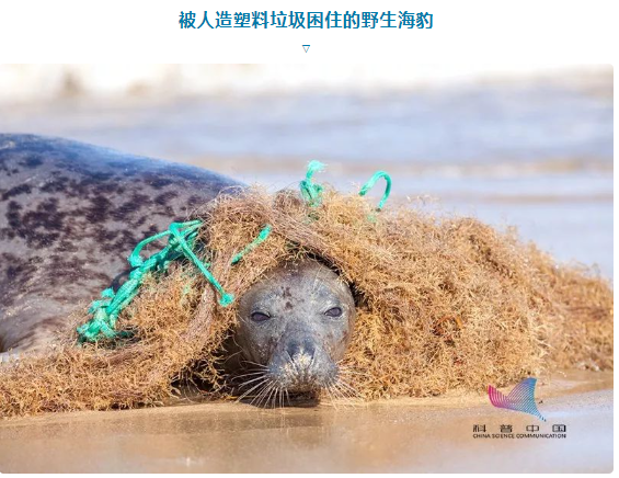 QQ截图20221122104649.png